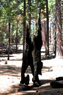 IMG_8894 - Version 3