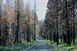 IMG_8960 - Version 2