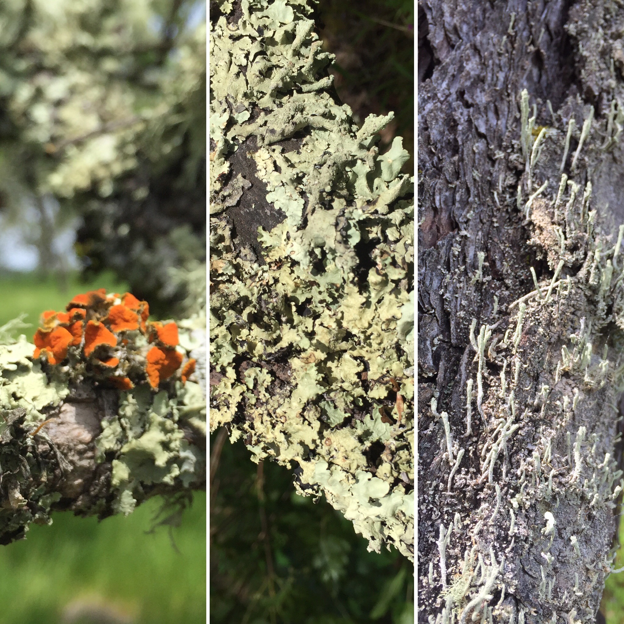 762CCB92-3137-49D6-B58A-610389B24E36